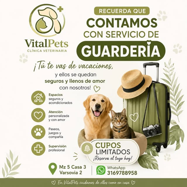 Servicio de guardería