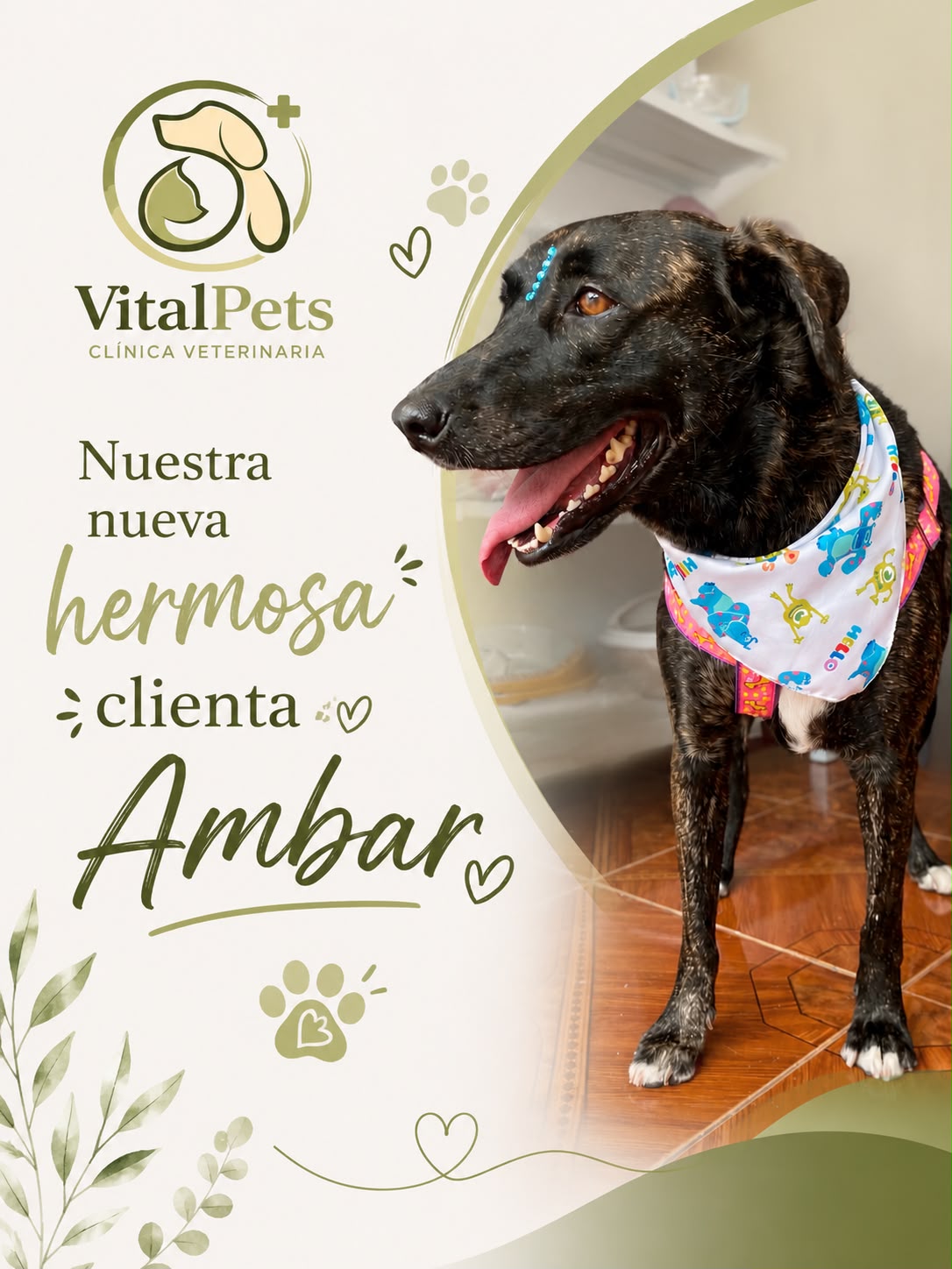 Ámbar, nuestra nueva clienta